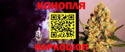 сатива Волжск