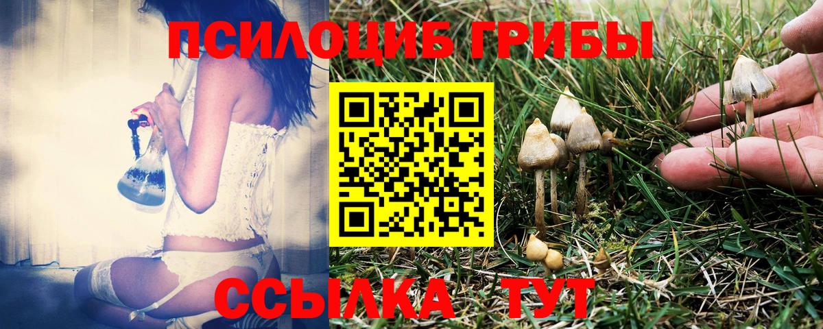 Псилоцибиновые грибы мицелий Борисоглебск