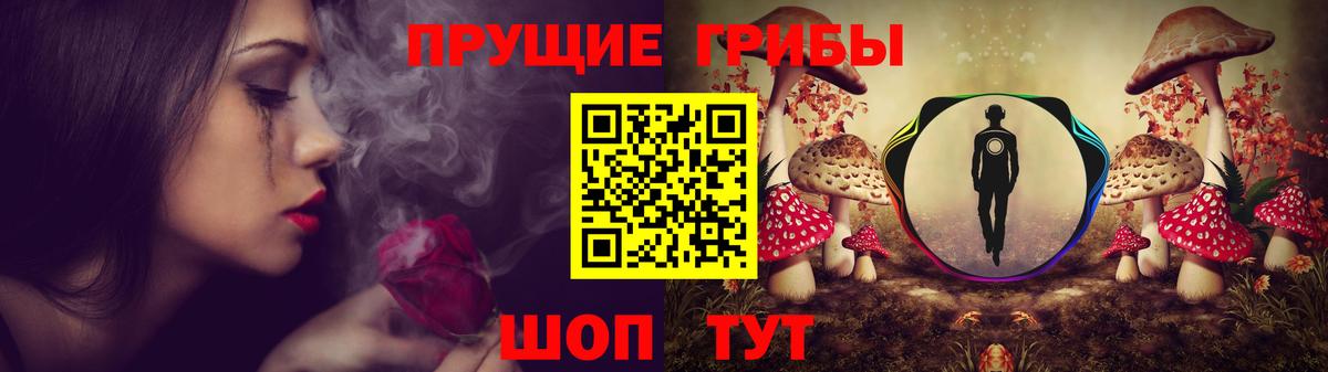 Псилоцибиновые грибы GOLDEN TEACHER  Вход с VPN  Псилоцибиновые грибы прущие грибы  Борисоглебск 